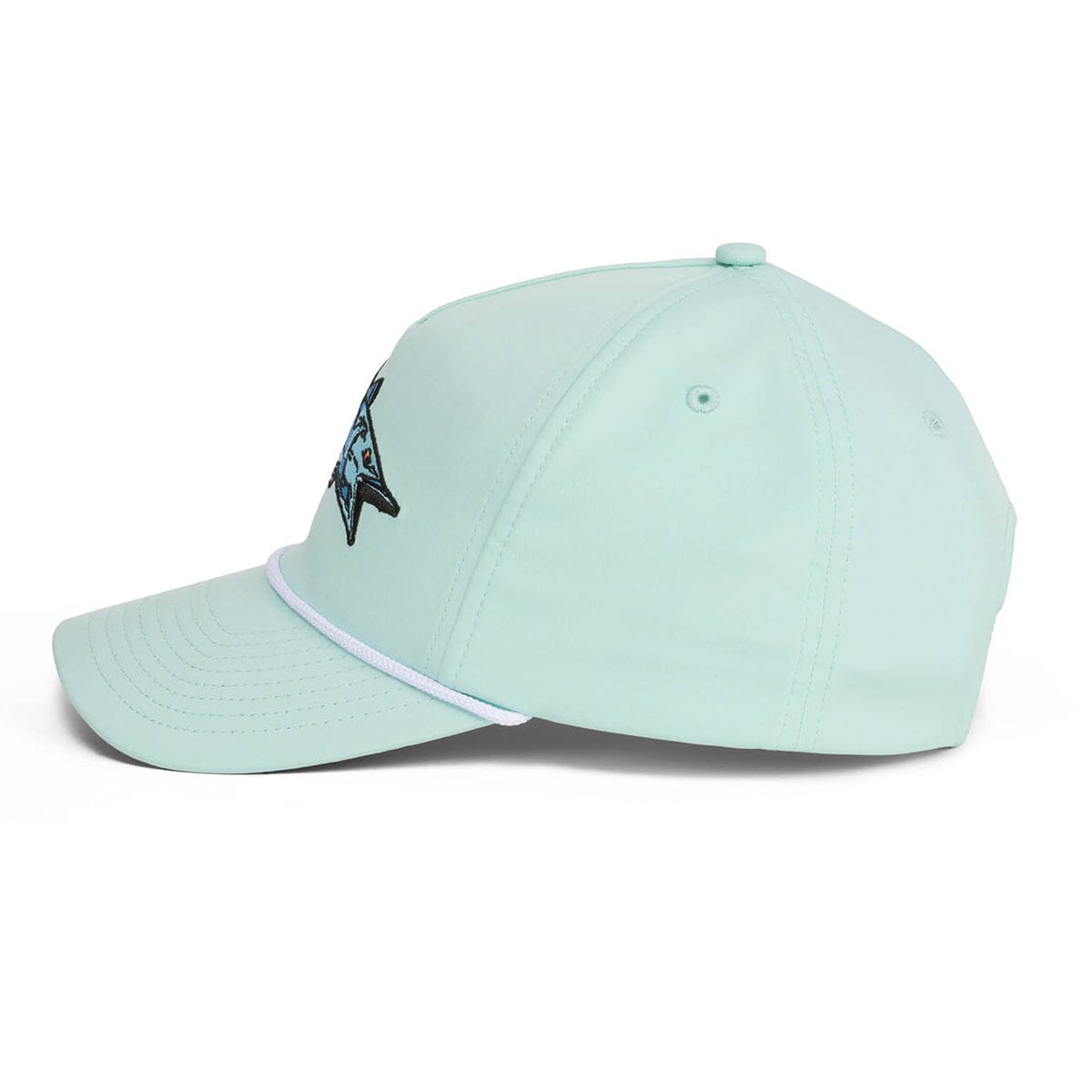 #color_Seafoam